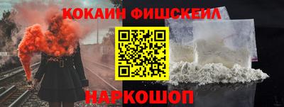крисы Камышлов