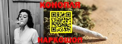 крисы Камышлов