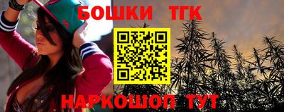 крисы Камышлов
