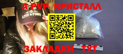 крисы Камышлов