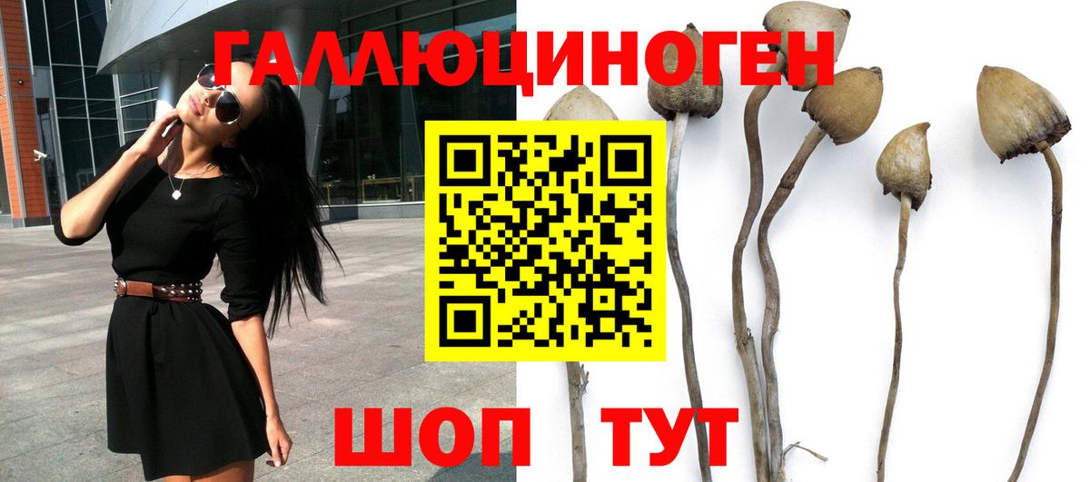 Кумертау  Галлюциногенные грибы Psilocybine cubensis  Вход с VPN 